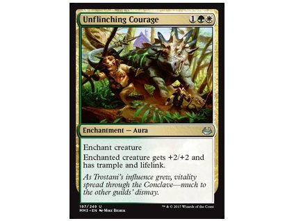 Unflinching Courage (Foil ANO, Stav Near Mint)