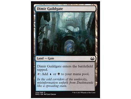 Dimir Guildgate