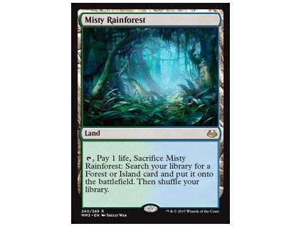 Misty Rainforest