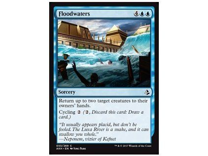 Floodwaters