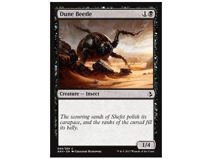Dune Beetle