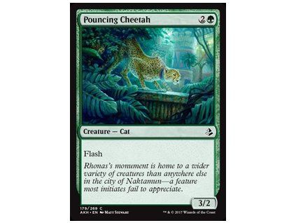 Pouncing Cheetah
