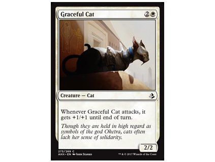 Graceful Cat