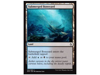 Submerged Boneyard