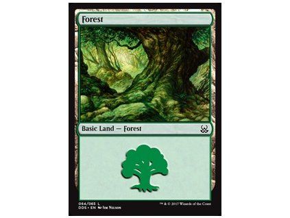 Forest