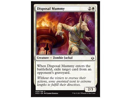 Disposal Mummy