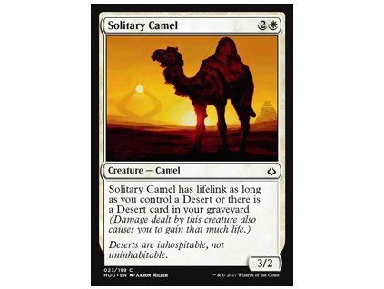 Solitary Camel
