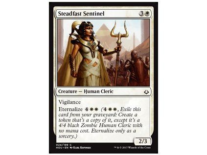 Steadfast Sentinel