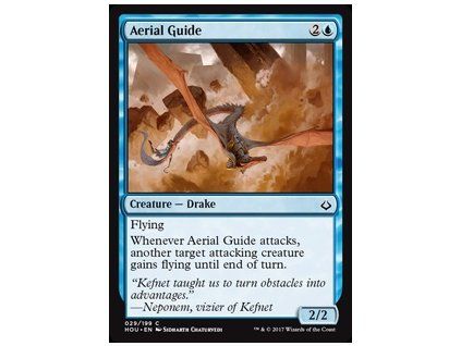 Aerial Guide