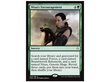Nissa's Encouragement
