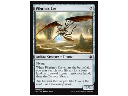 Pilgrim's Eye (Foil NE, Stav Near Mint)