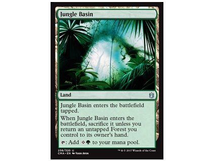 Jungle Basin