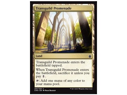 Transguild Promenade (Foil NE, Stav Near Mint)