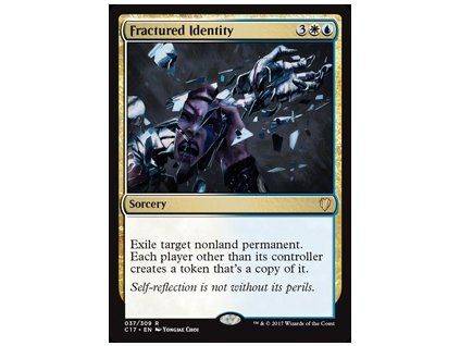 Fractured Identity