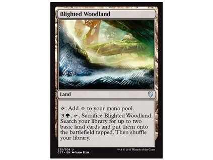 Blighted Woodland (Foil NE, Stav Near Mint)