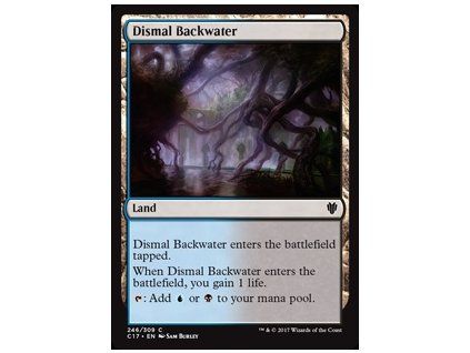 Dismal Backwater