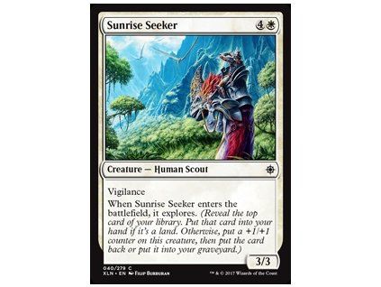 Sunrise Seeker