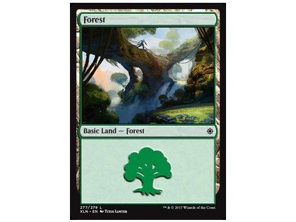Forest