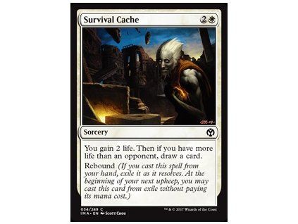 Survival Cache
