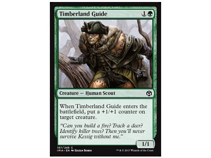 Timberland Guide (Foil ANO, Stav Near Mint)