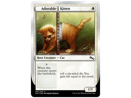 Adorable Kitten