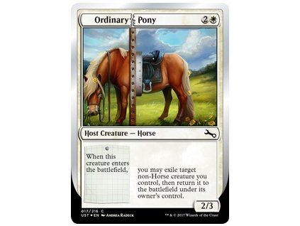 Ordinary Pony