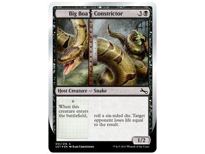 Big Boa Constrictor