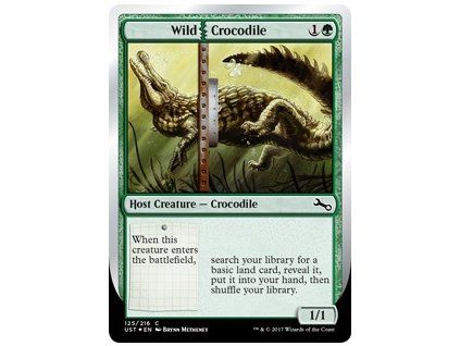 Wild Crocodile