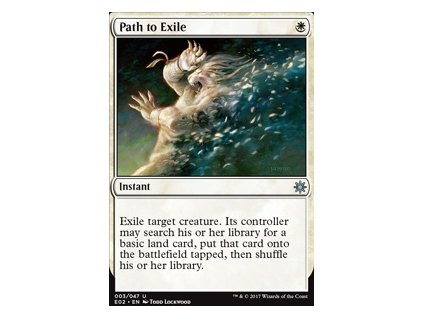 Path to Exile (Foil NE, Stav Near Mint)