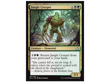 Jungle Creeper