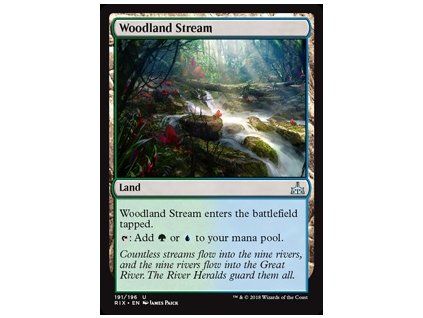 Woodland Stream