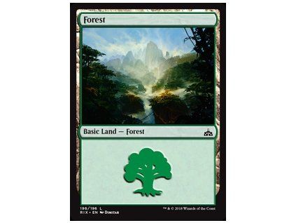 Forest