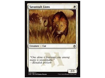 Savannah Lions