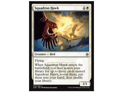 Squadron Hawk