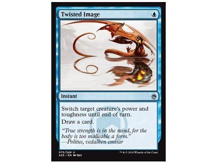 Twisted Image