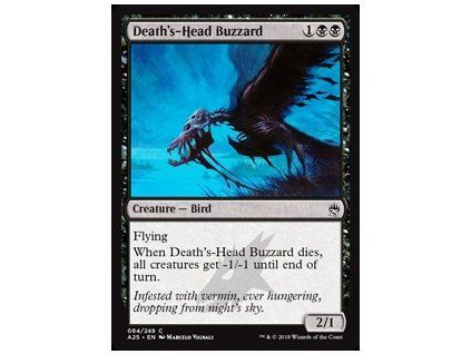 Death's-Head Buzzard