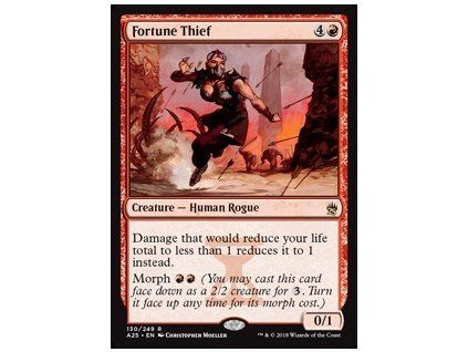 Fortune Thief