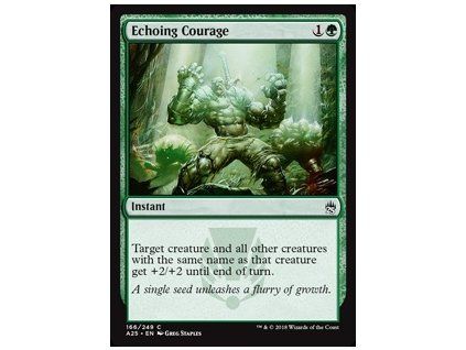 Echoing Courage
