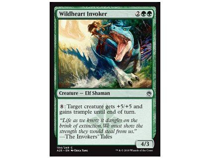 Wildheart Invoker