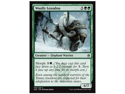 Woolly Loxodon
