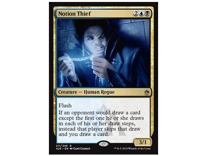 Notion Thief