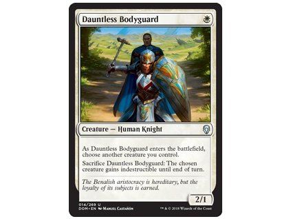Dauntless Bodyguard
