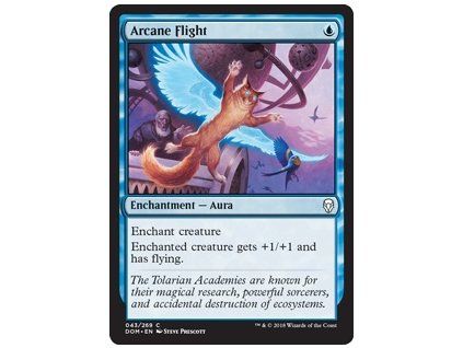 Arcane Flight