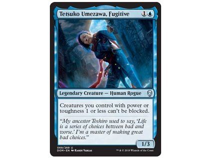 Tetsuko Umezawa, Fugitive