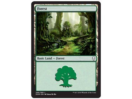 Forest