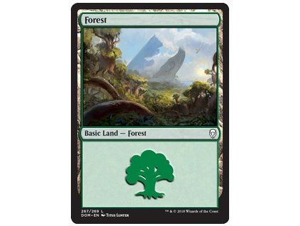 Forest
