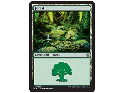 Forest