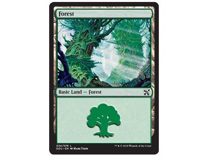 Forest