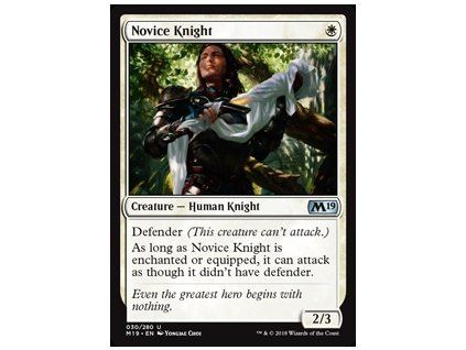 Novice Knight