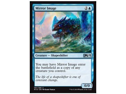 Mirror Image